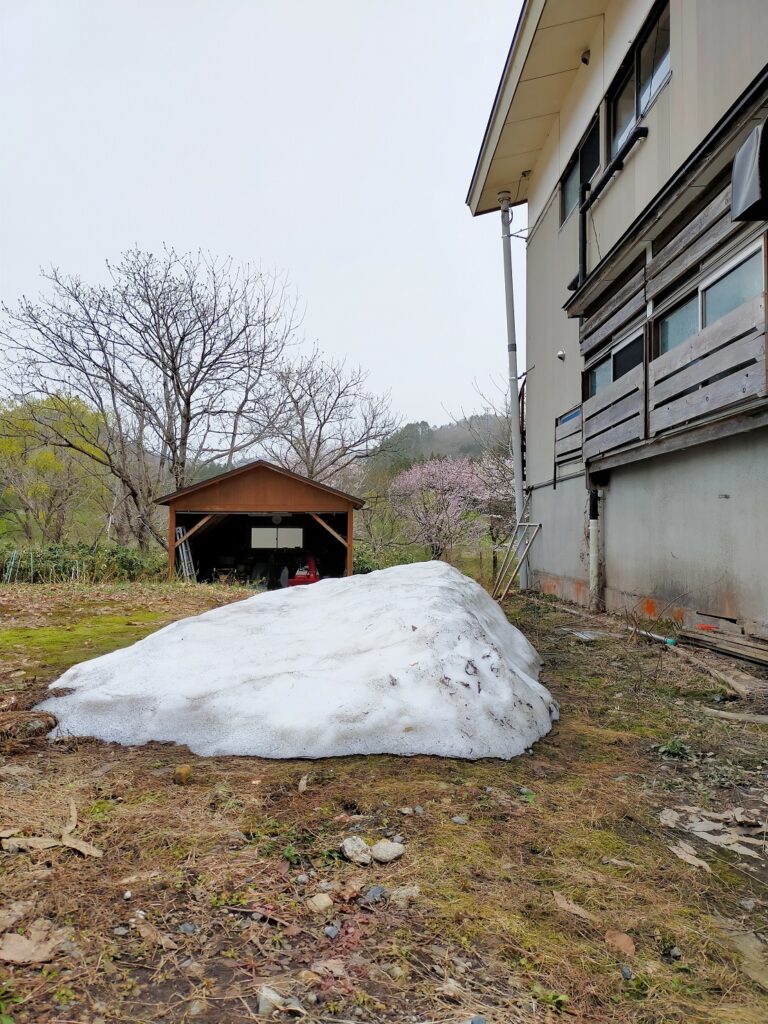 事務所の軒下にはまだ雪があります。窓の雪囲いはガラスが割れにように雪が降る前に囲います。